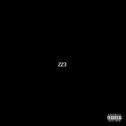 223