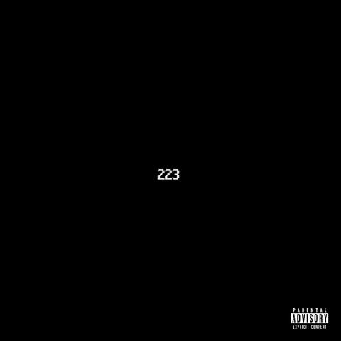 223