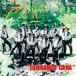 El Alacrán (Tumbando Caña)