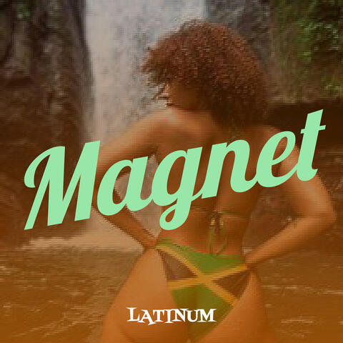 Magnet
