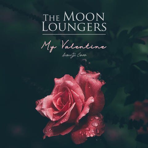 My Valentine (Acoustic Cover)