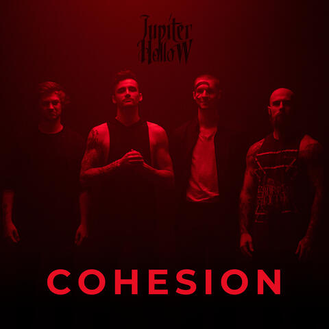 Cohesion