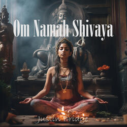 Om Namah Shivaya