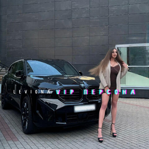Vip персона