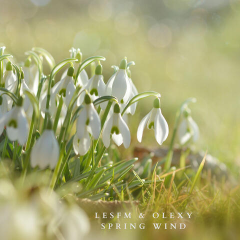 Spring Wind
