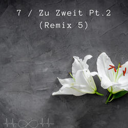 7 / Zu Zweit, Pt. 2 (Remix 5)