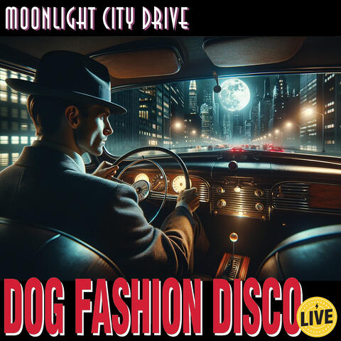 Moonlight City Drive (Live)