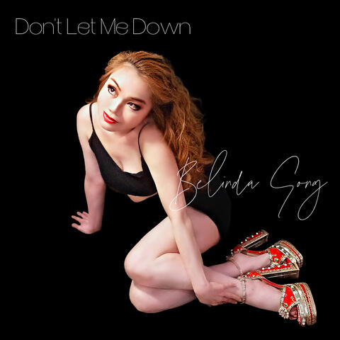 Don't Let Me Down