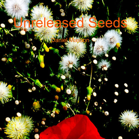Unreleased Seeds