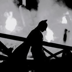 They Think I'm Hiding in the Shadows... but I Am the Shadows (Sped Up)