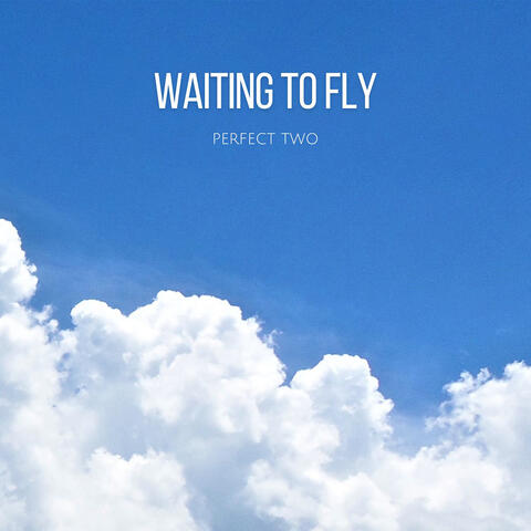 Waiting to Fly