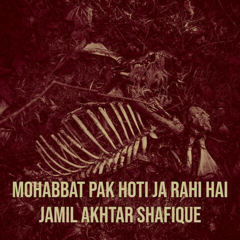 Mohabbat Pak Hoti Ja Rahi Hai