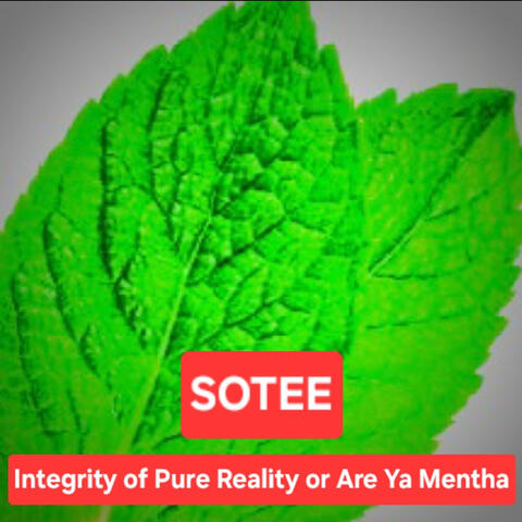 Integrity of Pure Reality or Are Ya Mentha