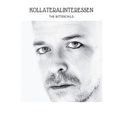 Kollateralinteressen