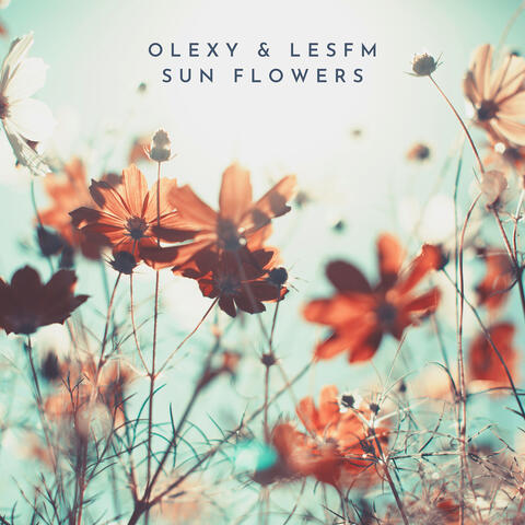 Sun Flowers
