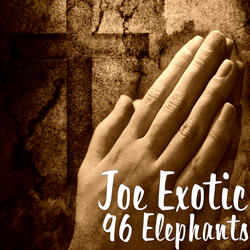 96 Elephants