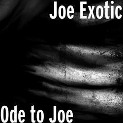Ode to Joe