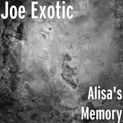 Alisa's Memory