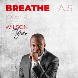 Breathe - A.J.S (Cover)