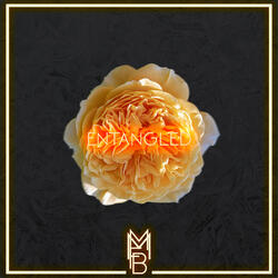 Entangled
