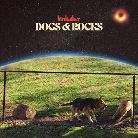 Dogs & Rocks