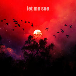Let Me See