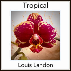 Tropical