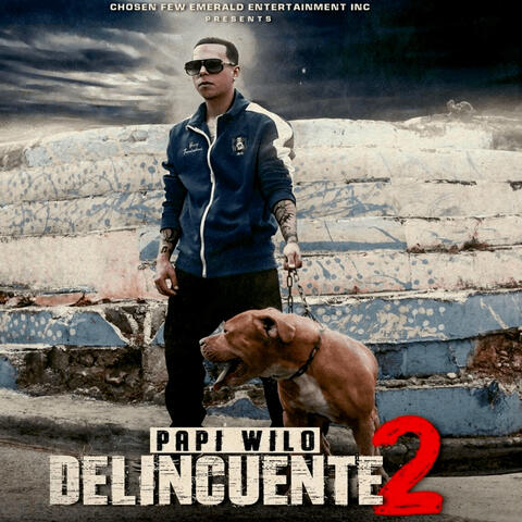 Delincuente 2