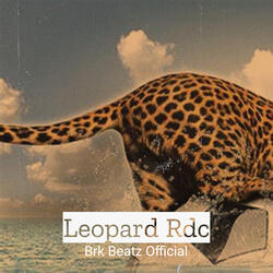 Leopard Rdc