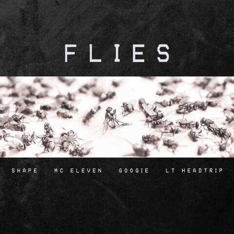 Flies