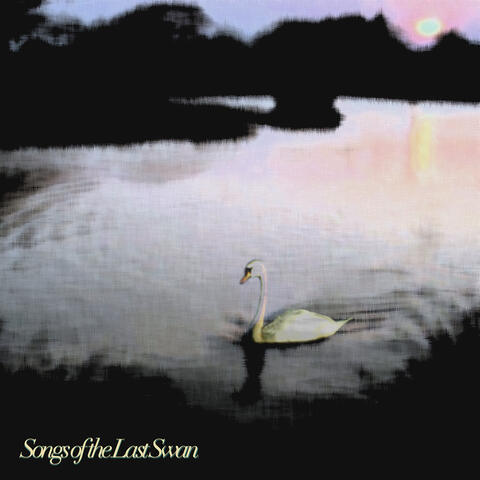 Songs of the Last Swan