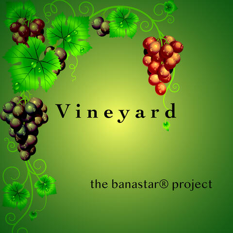 Vineyard