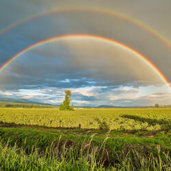 Rainbow House