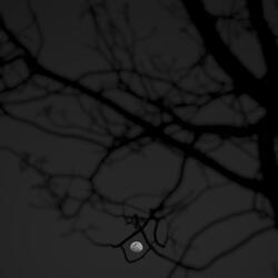 Darkness Is Coming