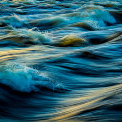 The Waves
