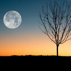 Twilight