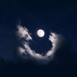 Moonlight
