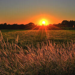 Sunrise (Extended Version)