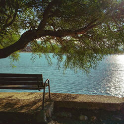 Idyll by the Lake