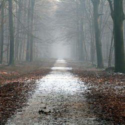Eerie Encounters