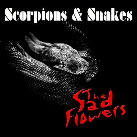 Scorpions & Snakes