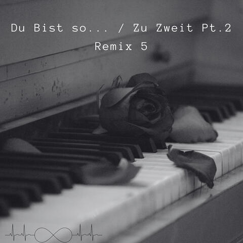 Du Bist So... / Zu Zweit Pt.2 (Remix 5)