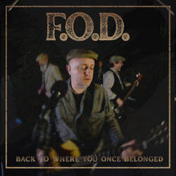 Back to Where You Once Belonged