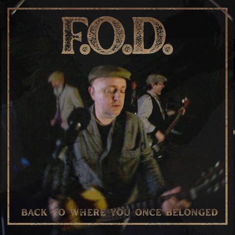 Back to Where You Once Belonged