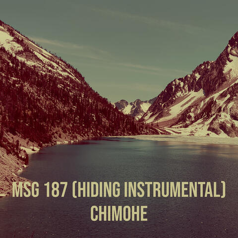Msg 187 (Hiding Instrumental)