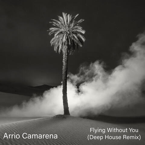 Flying Without You (Deep House Remix)