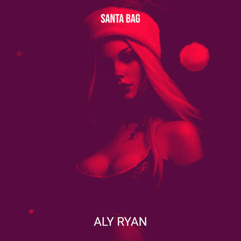 Santa Bag