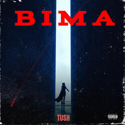 BIMA