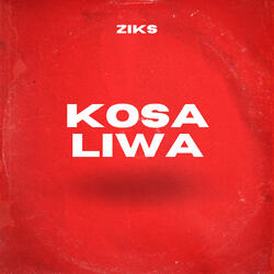 Kosa Liwa