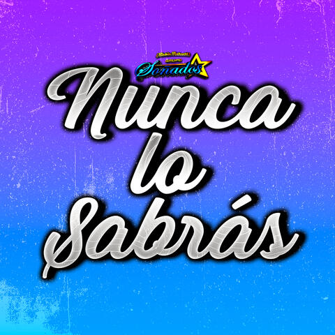 Nunca Lo Sabrás